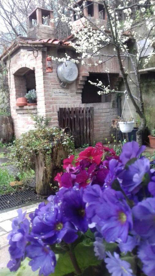 Casa Patti Alle Porte Di Σιένα Εξωτερικό φωτογραφία