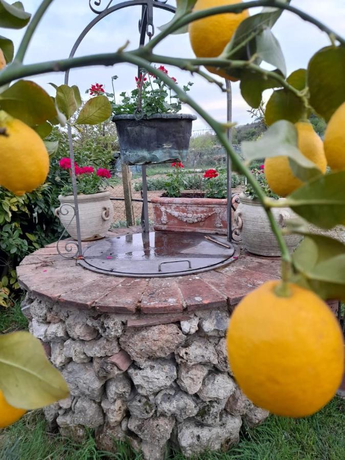Casa Patti Alle Porte Di Σιένα Εξωτερικό φωτογραφία