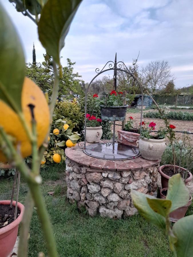 Casa Patti Alle Porte Di Σιένα Εξωτερικό φωτογραφία