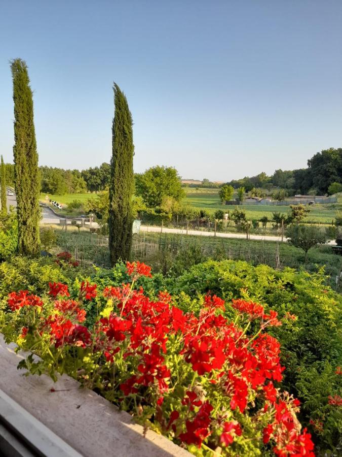 Casa Patti Alle Porte Di Σιένα Εξωτερικό φωτογραφία